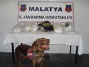 Yolcu Treninde 19 Kilo Esrar Bulundu