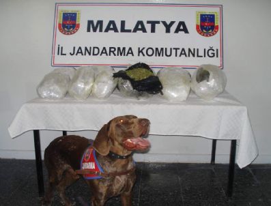 Yolcu Treninde 19 Kilo Esrar Bulundu