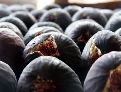 25 Bin Ton Kuru Ve 60 Ton Taze İncir İhraç Edildi