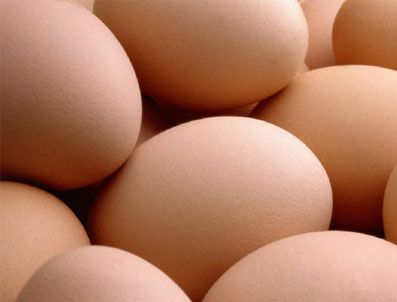 MINNESOTA - Yumurtalar toplatılıyor