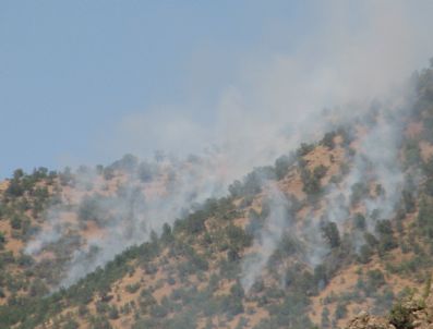 Çukurca'daki Orman Yangını