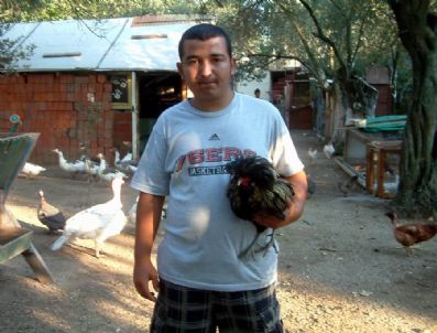 Hayvan Sevgisi 15 Yaşında Çiftlik Sahibi Yaptı