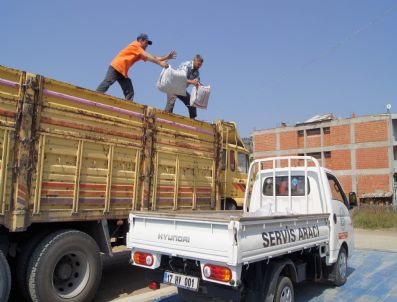 Çan Belediyesi Kömür Dağıtımına Başladı