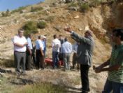 Sarıveliler'de 500 Kınalı Keklik Doğaya Bırakıldı