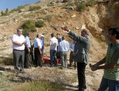 Sarıveliler'de 500 Kınalı Keklik Doğaya Bırakıldı