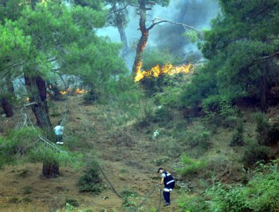 GÖÇBEYLI - Bergama'da orman yangını