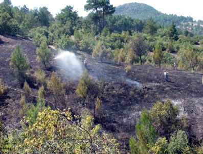 Dursunbey'deki Orman Yangını Kontrol Altına Alındı