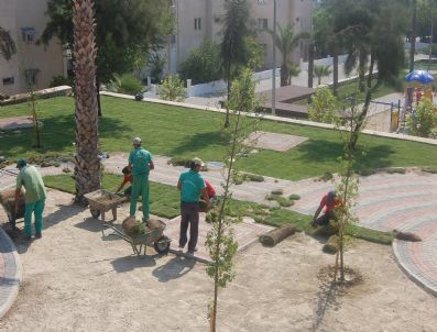 AKKENT - Milas'ta Ağaçlandırma Çalışmaları