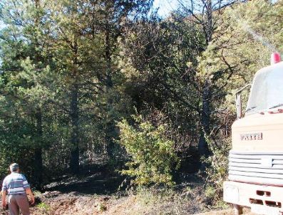 Arıt'ta Orman Yangını