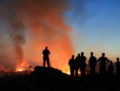Erdek'te üç noktada orman yangını