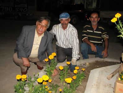 İBRAHIM ZIYREK - Oltu Güzelleşiyor