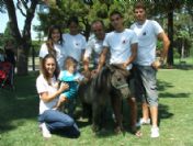 Poni Ekspres İle Çocuklar Eğlenceye Doyacak