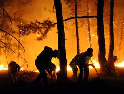 GEBIZ - Antalya'da orman yangını