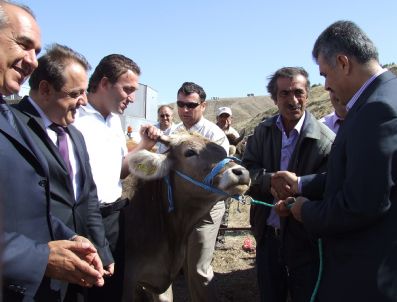 SELAMI UZUN - Suşehri'nde 600 Bin Tl'lik Proje Hayata Geçirildi