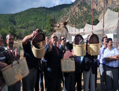 SULUN - Gümüşhane Kırsalına 400 Sülün Salındı