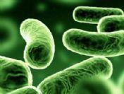 Hastalar ölümle karşı karşıya