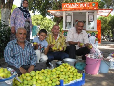 BIRGI - İncirin Hası Organik Orhan'da