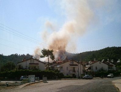 Marmaris'teki orman yangını kısmen kontrol altına alındı