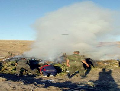 Erzurum'da 3 Bin 153 Kök Hint Keneviri Yakılarak İmha Edildi