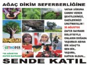 Felaketlerin Ardından 30 Ağustos'ta Ağaçlandırma Kampanyası