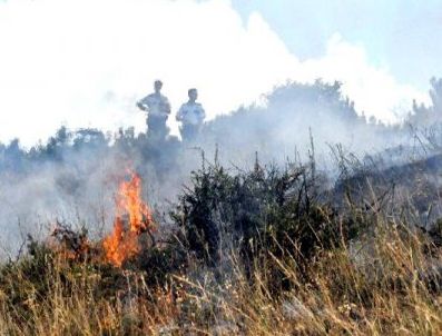 5 hektarlık ormanlık alan zarar gördü