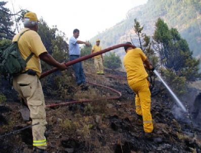Bir Kıvılcım 2.5 Hektarlık Ormanı Yok Etti