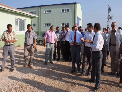 Firmalara Kızan Süt Üreticileri Kendi Mandıralarını Kurdu