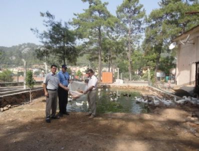 İDRIS İSPIRLI - Beldibi'nde Ekmek Kampanyası