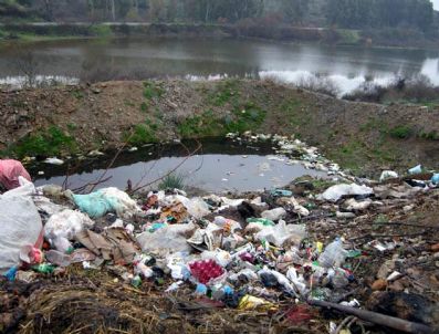 ÇEVRE VE TÜKETICI HAKLARıNı KORUMA DERNEĞI - Plastik Torba, Poşet Ve Plastik Ürünler Tehlike Saçıyor