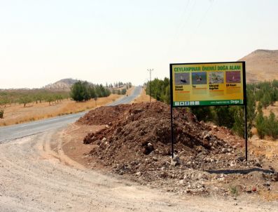 KıLKUYRUK - Ceylanpınar 'Önemli Doğa Alanı'