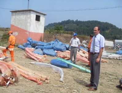 AYDıN MEMÜK - Alaplı'da Fındık İşçilerine Çadır Dağıtıldı