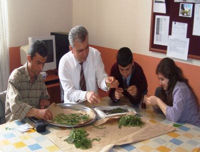 İRFAN GÜNDÜZ - İpekböcekçiliğine Devam