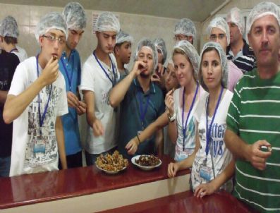 SEMA DOĞAN - Sakaryalı Gençler Gümüşhane'yi 'Doya Doya' Geziyor