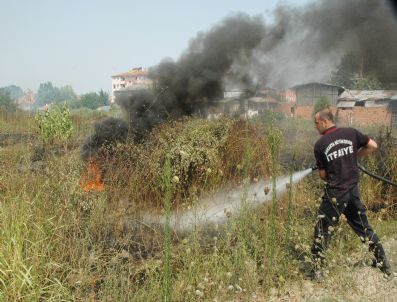 Örtü Yangınında 1.5 Dönüm Alan Zarar Gördü