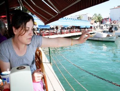 AYVALıK TOSTU - Balıklar Da Ayvalık Tostu'nun Tutkunu Oldu