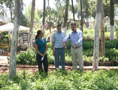 Toroslar Çiçek Açıyor