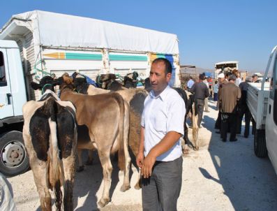 CAVDARLI - Afyonkarahisar'da Şap Hastalığı Nedeni İle Hayvan Pazarı Kapatıldı