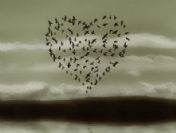 Aşık olmanın bedelini hesapladılar