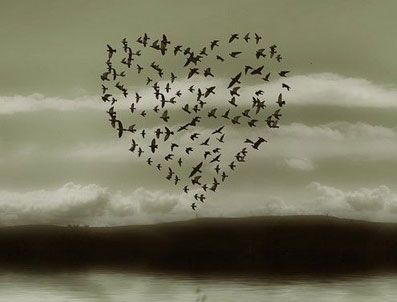 BIRMINGHAM - Aşık olmanın bedelini hesapladılar