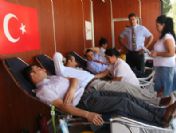 Sungurlu'da 280 Ünite Kan Toplandı