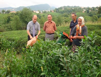GÖKHAN GÜRBÜZEROL - Eynesil Kaymakamı Gökhan Gürbüzerol Köy Gezilerine Devam Ediyor
