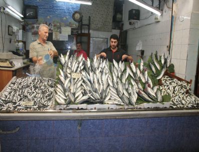 Zonguldak'ta Tezgahlar İthal Balıklarla Doldu