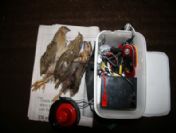 Müzikle Bıldırcın Katliamı