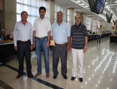 Ktb'ye Yılın İlk Mahsul Mısırı Geldi