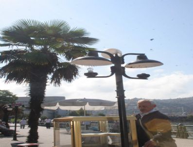 KÖZLÜ - Zonguldak Sahili Bakımsızlıktan Dökülüyor