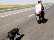 İnsanlığın bittiği an...