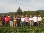 Fındık Bahçesini Çilek Bahçesine Çevirdi