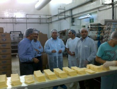 Hollandalı İşadamından Bartın'a Ziyaret