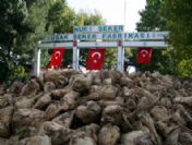 Uşak'ta 85. Pancar Alım Kampanyası Başladı