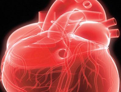 Yapay kalpler yaygınlaşıyor